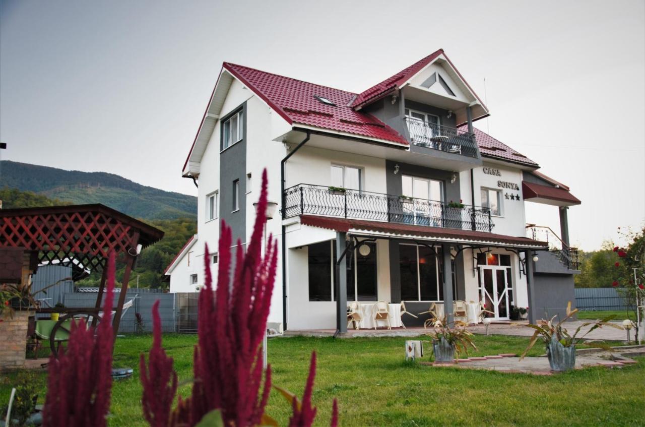 Apartament Casa Sonya Aninoasa Zewnętrze zdjęcie