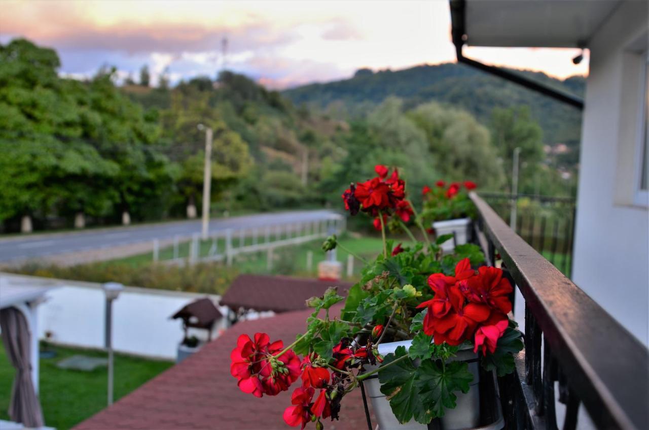 Apartament Casa Sonya Aninoasa Zewnętrze zdjęcie