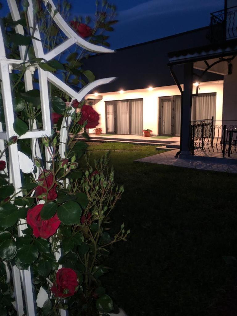 Apartament Casa Sonya Aninoasa Zewnętrze zdjęcie